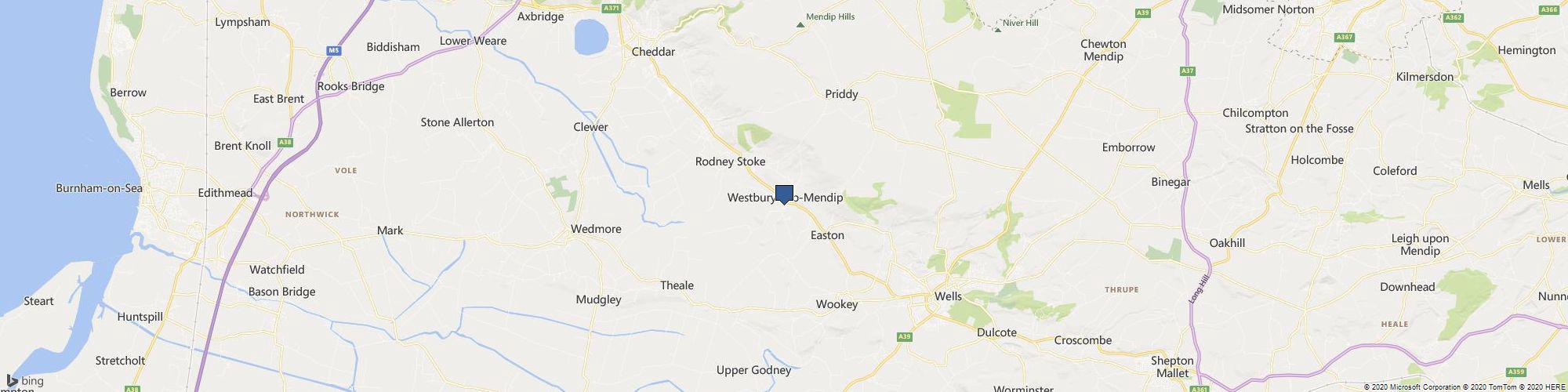 Just Plants Bristol cover photo