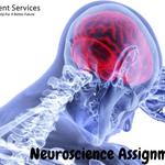 All Assignment Services - photo 4