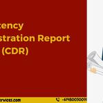 All Assignment Services - photo 8