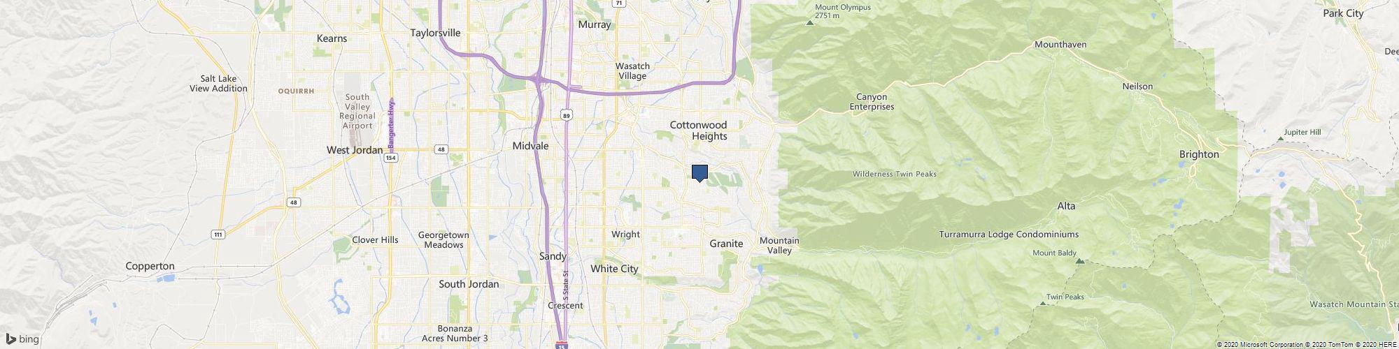 Mobile Cat Grooming - Sandy Mobile Pet Grooming cover photo