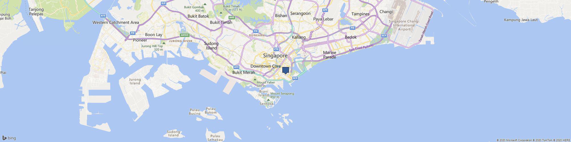 Singapore Top Immigration cover photo