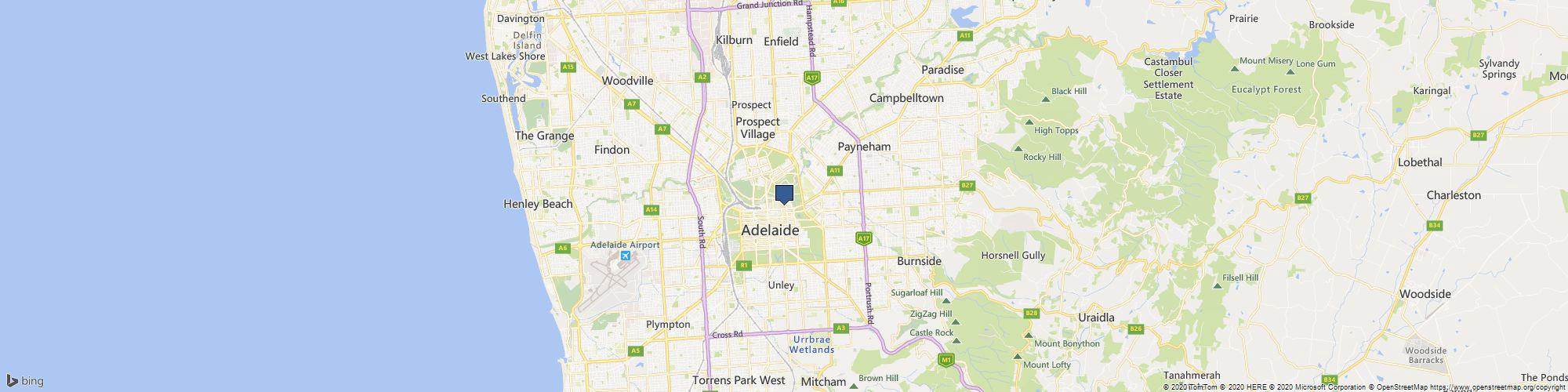 The Rug Man cover photo