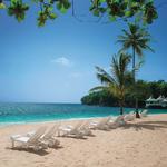 Estes consultant of Travel - photo 1