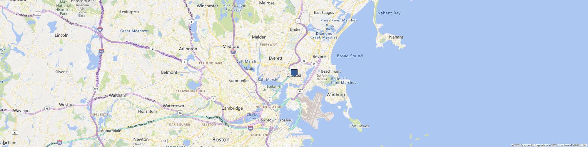 Michelle Coutinho Painting cover photo