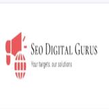 SEO Digital Gurus - Advertising in Noida