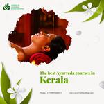 School of Ayurveda and Panchakarma - photo 1