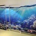 yesMyDesign - photo 3