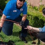 Rooter Hero  Plumbing  of Sacramento - photo 1