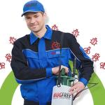 Bug Free Pest Control Sydney - photo 4
