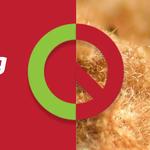 Bug Free Pest Control Sydney - photo 5