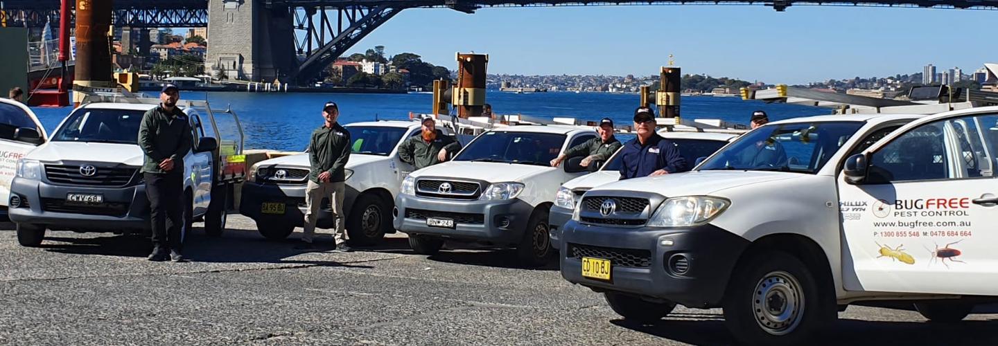 Bug Free Pest Control Sydney cover photo