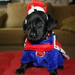 Sierra Valley Labs - photo 1