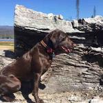 Sierra Valley Labs - photo 2