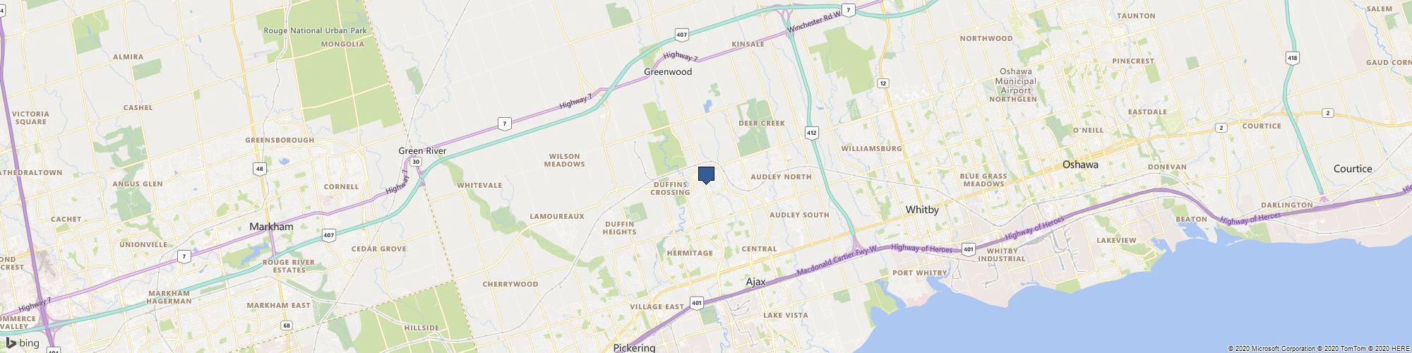 Dis - Infect cover photo