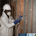 FDP Mold Remediation - photo 1