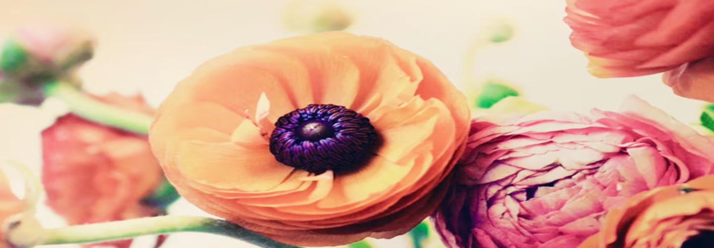 Floret Boutique cover photo