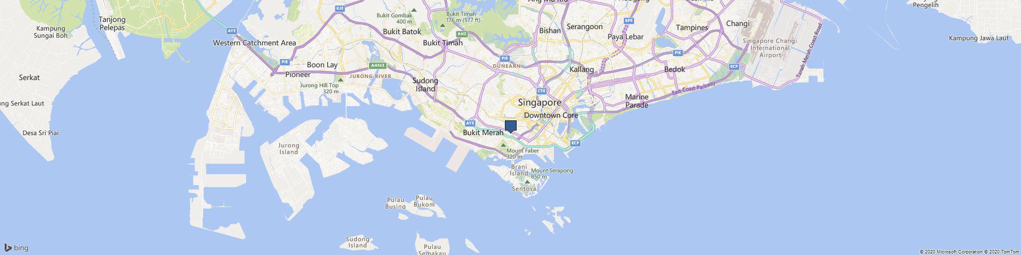 Align Brace cover photo