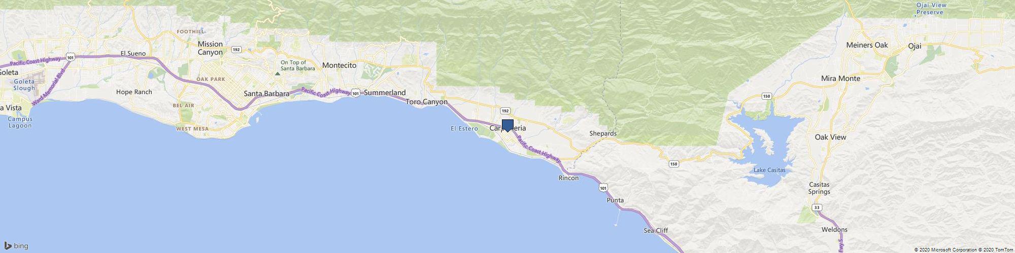 Temo's Tree & Gardening Service cover photo