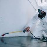 Pest Control West Beach - Pest Control in West Beach