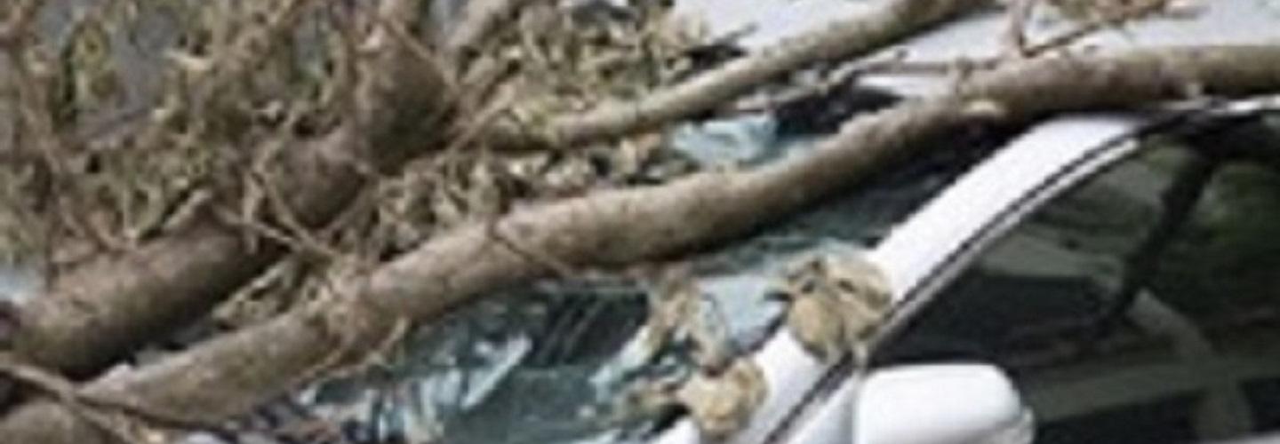 Allstate Insurance Agency: Wallace Insurance Agency cover photo