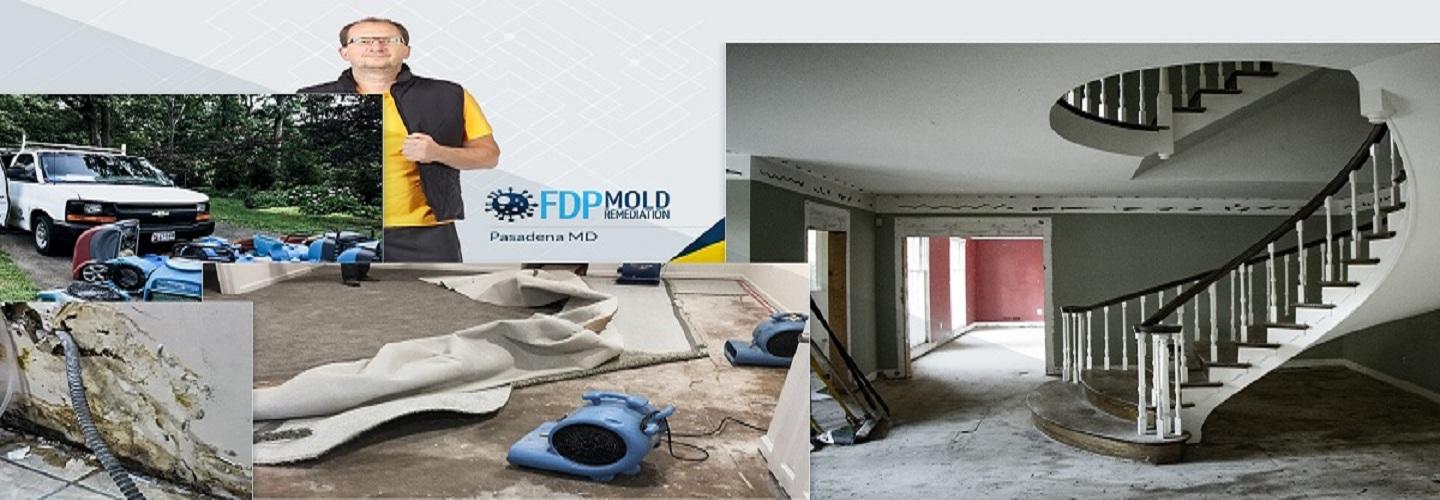FDP Mold Remediation cover photo