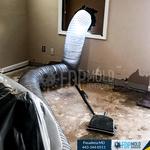 FDP Mold Remediation - photo 4