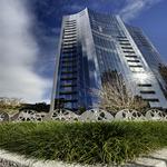 The Knight Alliance - photo 5