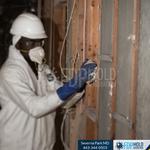 FDP Mold Remediation - photo 2