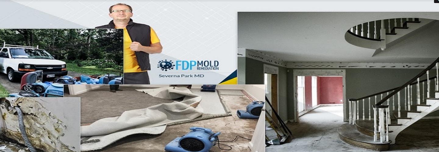 FDP Mold Remediation cover photo