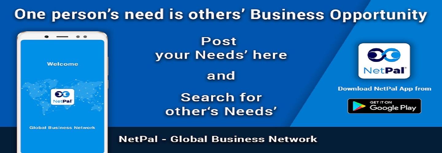 NetPal - Global Business Network cover photo