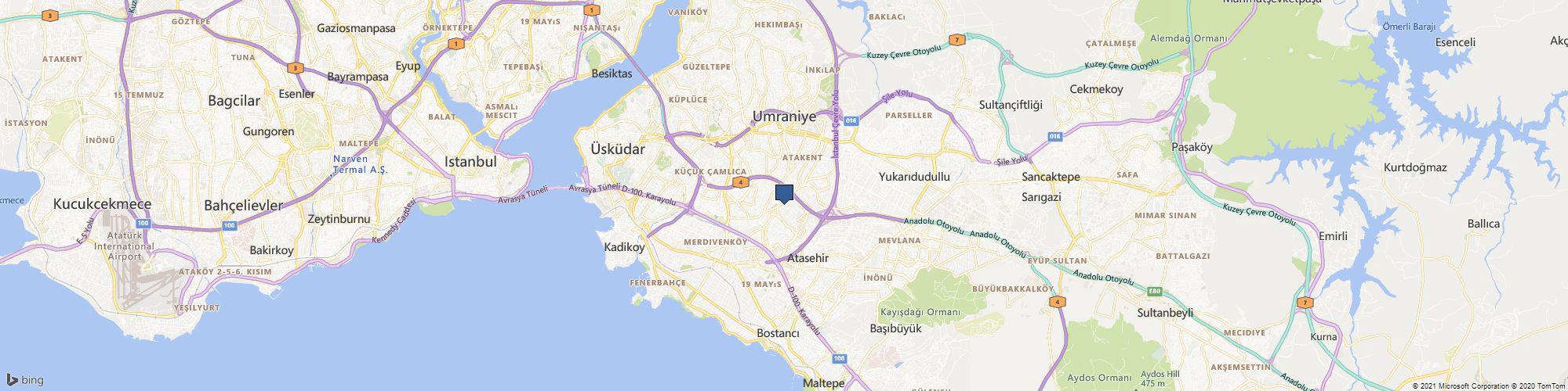 Protranslate - Professional Translation Services cover photo