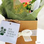 indoor plants delivery in Melbourne - photo 1