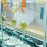 Caltest Analytical Laboratory - photo 1