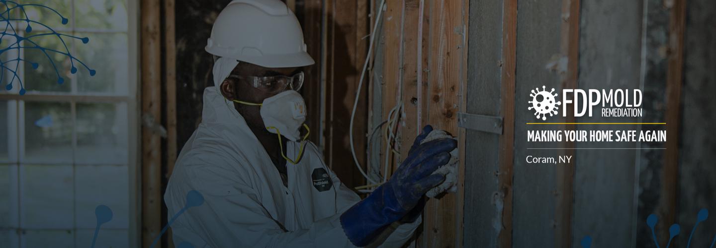FDP Mold Remediation cover photo