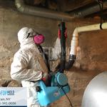 FDP Mold Remediation - photo 4