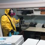 FDP Mold Remediation - photo 7