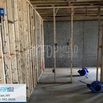FDP Mold Remediation - photo 10