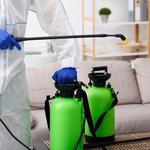 Pest Control Newstead - photo 2