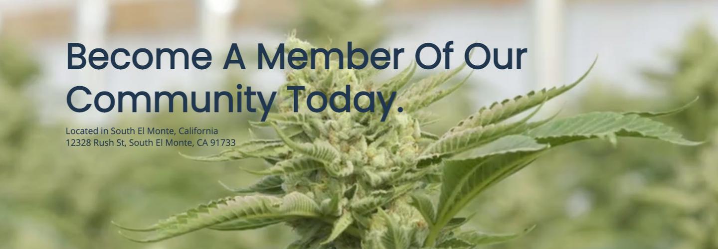 Church of the Sacred Vine cover photo