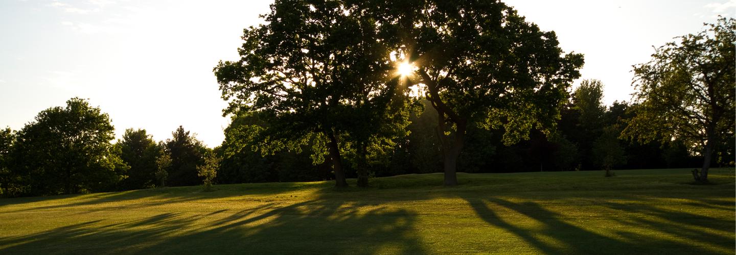 Lime Tree Cleaners Ltd cover photo