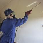 Pest Control Pyrmont - photo 1