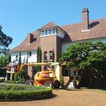 Colour Life Painting - photo 4