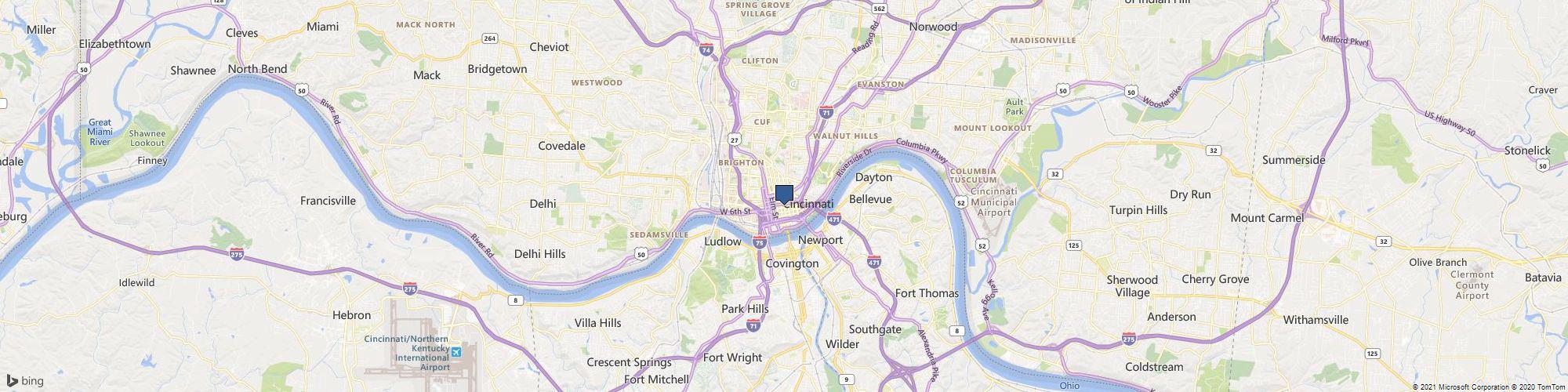 AM Tree Expert cover photo