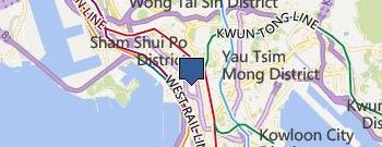 紐約脊骨物理治療中心 location map