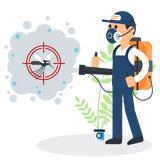 Pest Control Gisborne - Pest Control in Gisborne