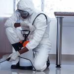 Pest Control Northgate - photo 2