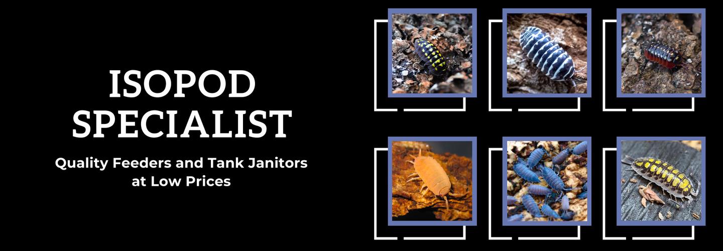 Isopod Specialist cover photo