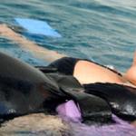 SportsMed Subiaco - photo 1