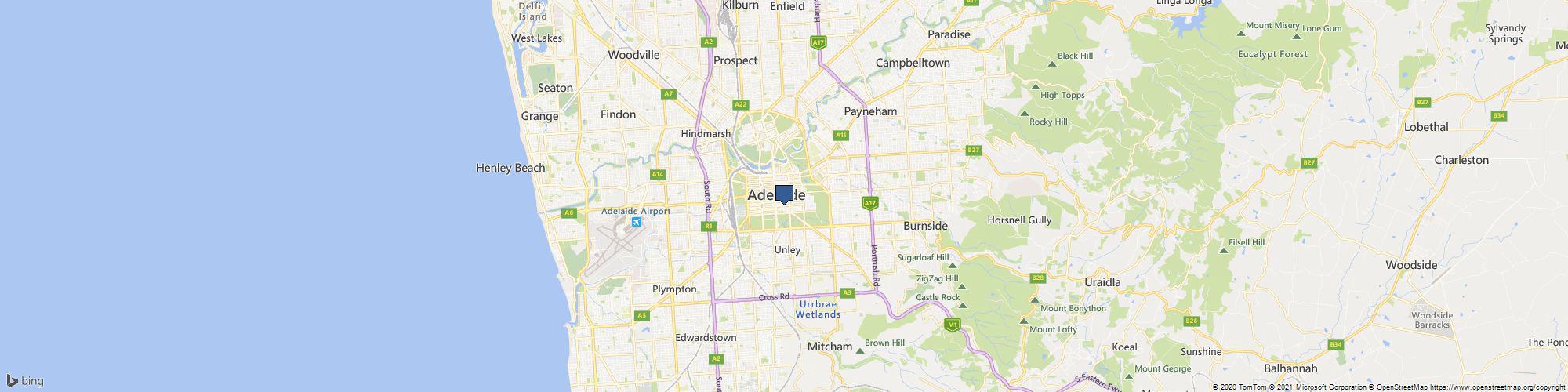 Tree Ninja cover photo