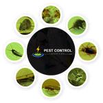 Pest Control Highfields - photo 1